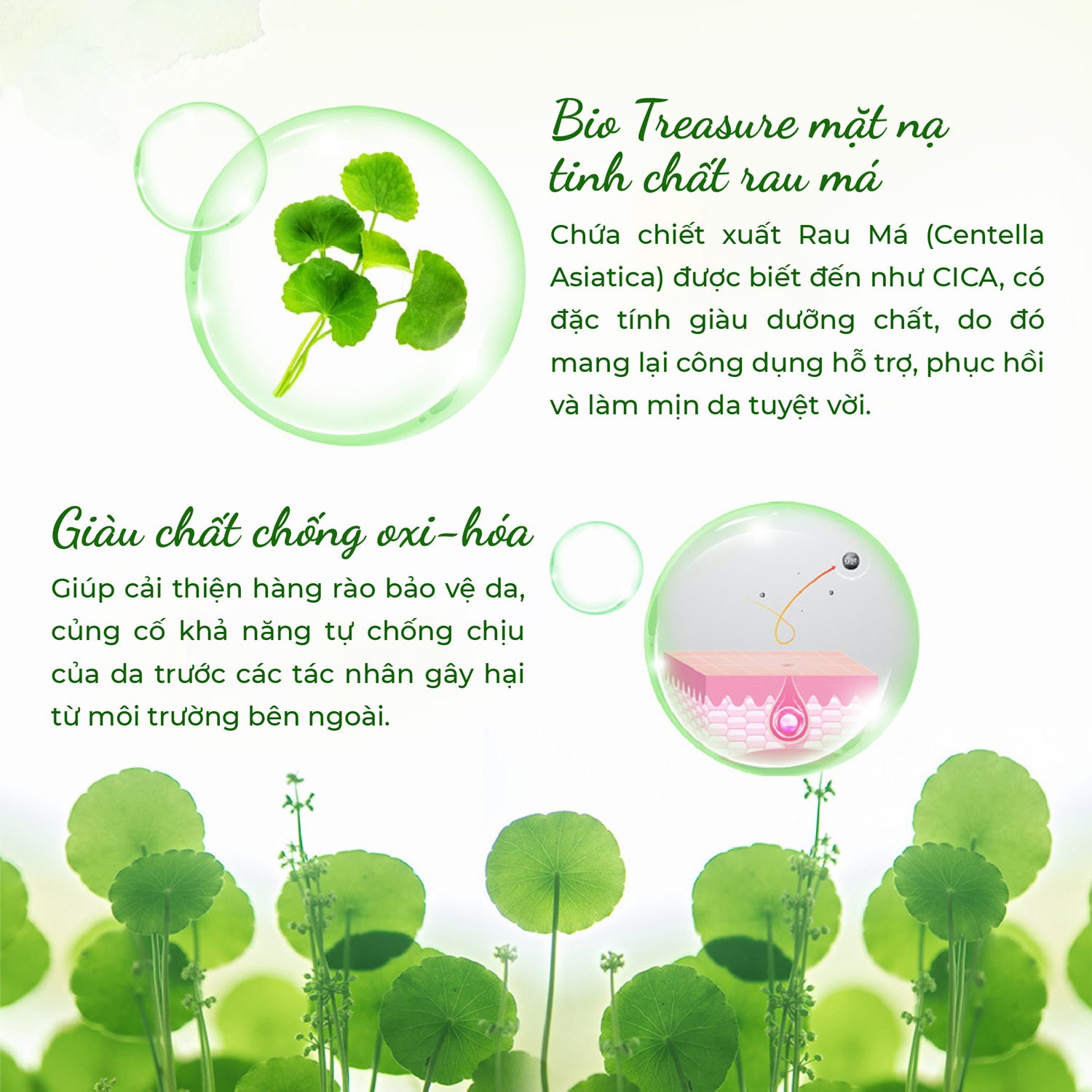 Bio-Essence Bio-Treasure Centella Asiatica Extract Intensive Repair Ampoule Mask 25ml - 1