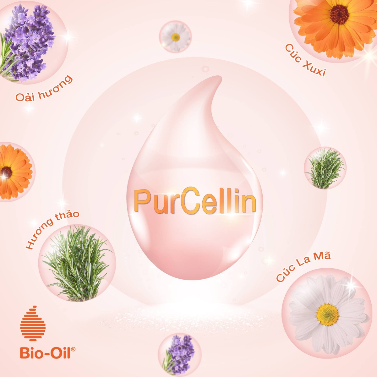 Bio Oil 125ml - 2