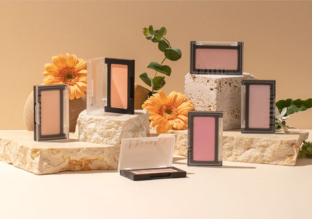 Phấn Má Hồng Dinto Blur-Finish All That Moments Blusher 10g - 1