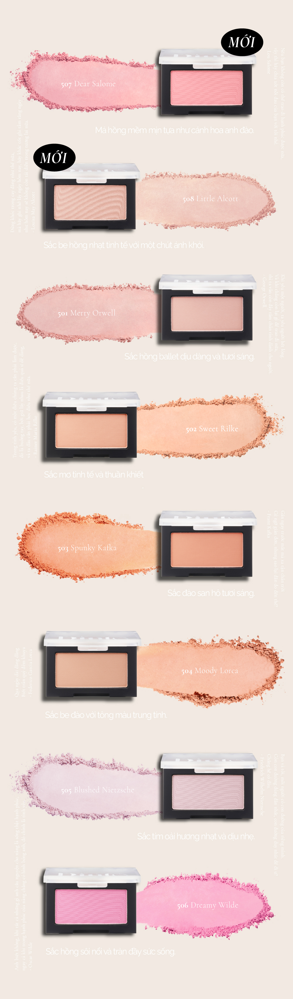 Phấn Má Hồng Dinto Blur-Finish All That Moments Blusher 10g - 2