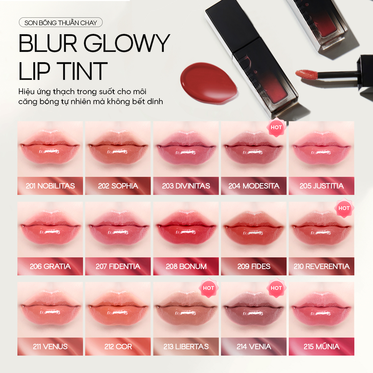 Son Kem Bóng Dinto Blur-Glowy Lip Tint 3.5g - 2