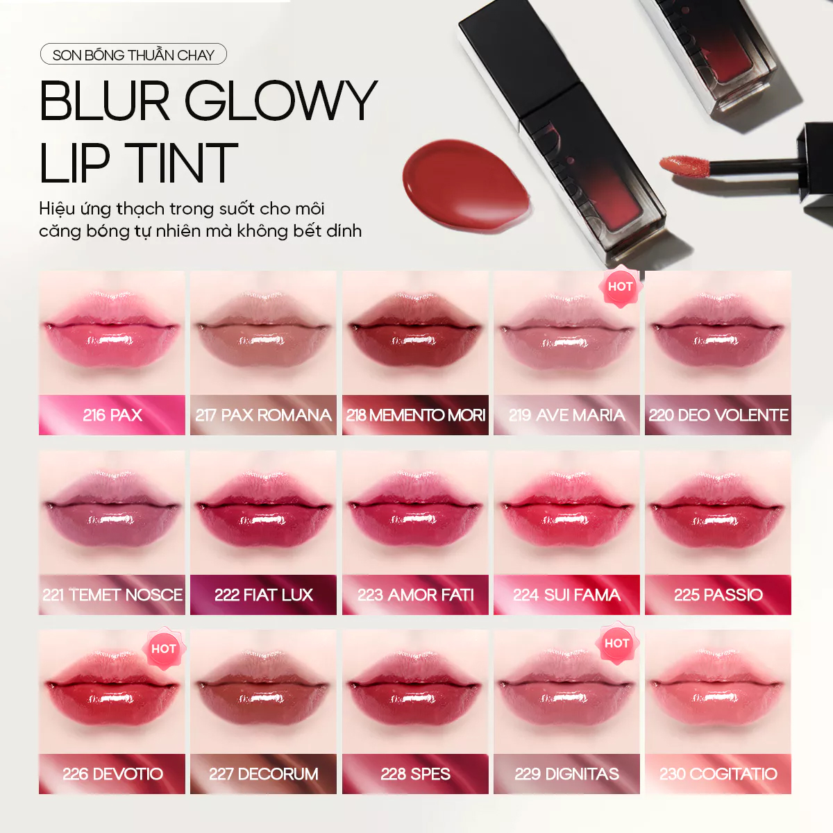 Son Kem Bóng Dinto Blur-Glowy Lip Tint 3.5g - 2