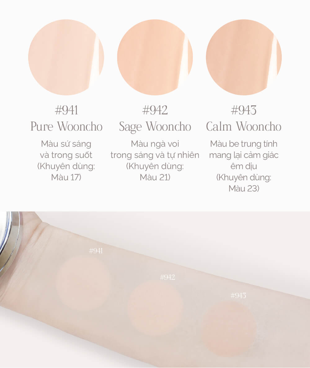 Phấn Nước Dinto Blur-Glowy Wooncho Cushion 12g - 1
