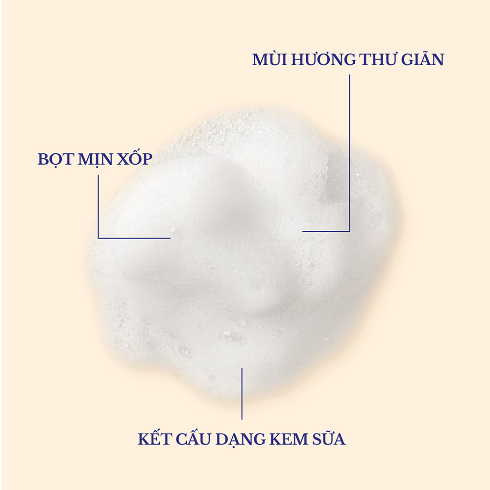 Kết cấu Embryolisse Lait-Crème Moussant – bọt mềm mịn giúp làm sạch sâu nhưng vẫn giữ ẩm cho da
