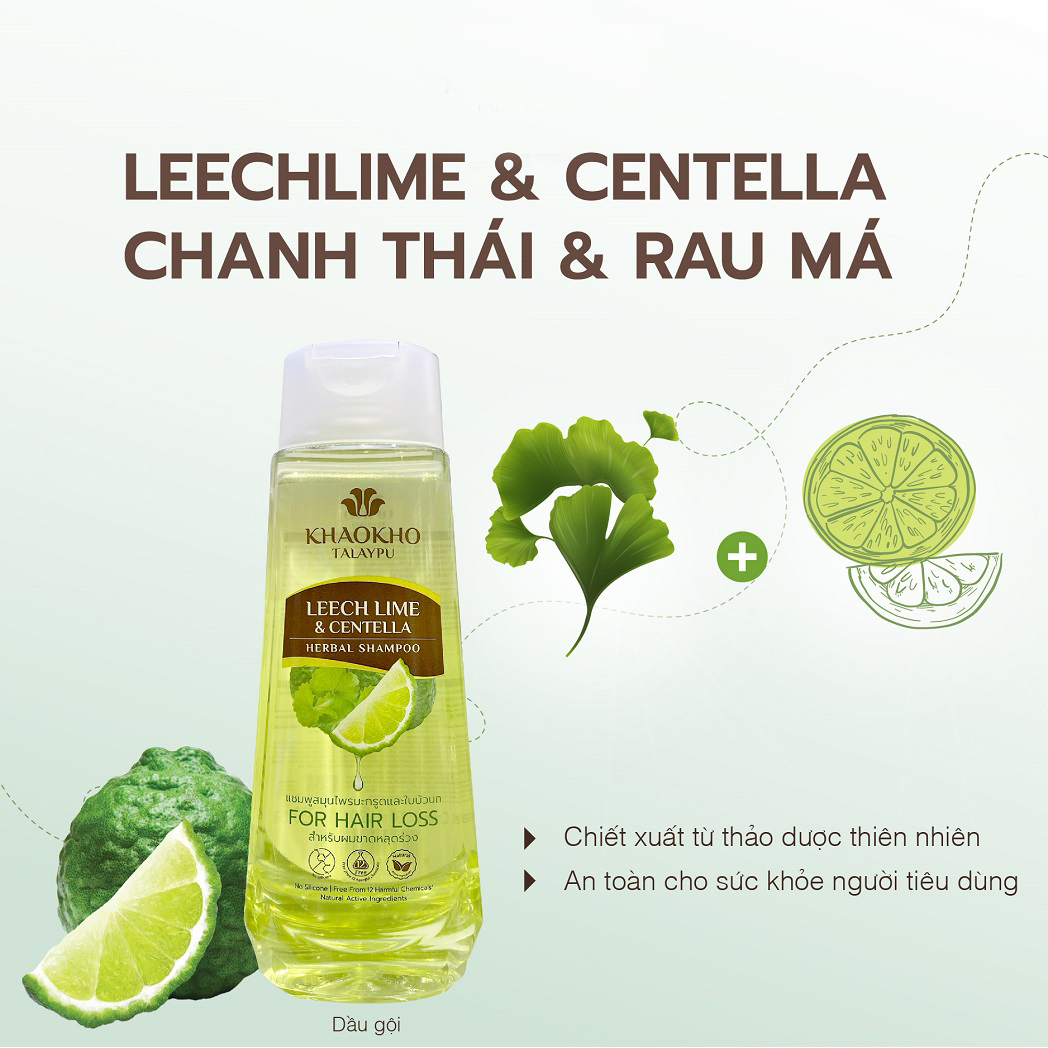 Khaokho Talaypu Leech Lime & Centella Shampoo 185ml