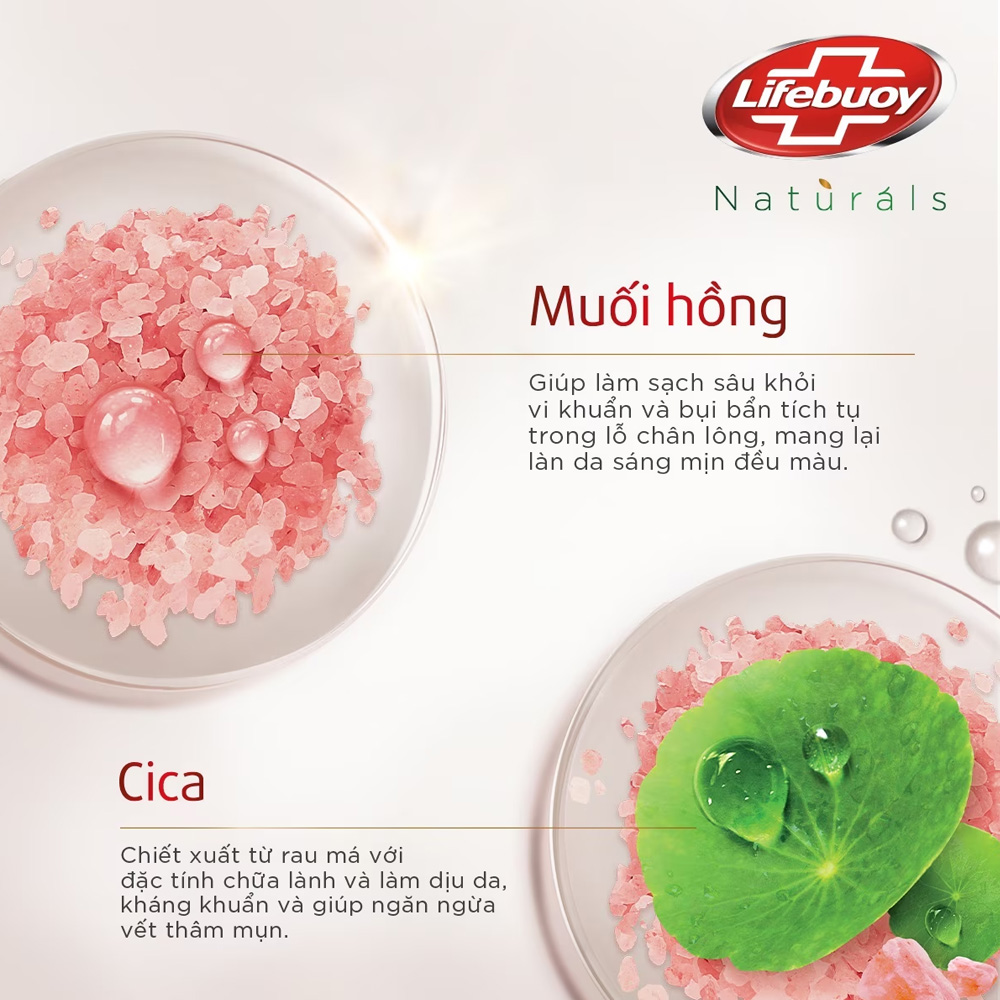 Lifebuoy Green Tea & Bitter Melon Detox Shower  Lifebuoy Green Tea & Bitter Melon Detox Shower - 2
