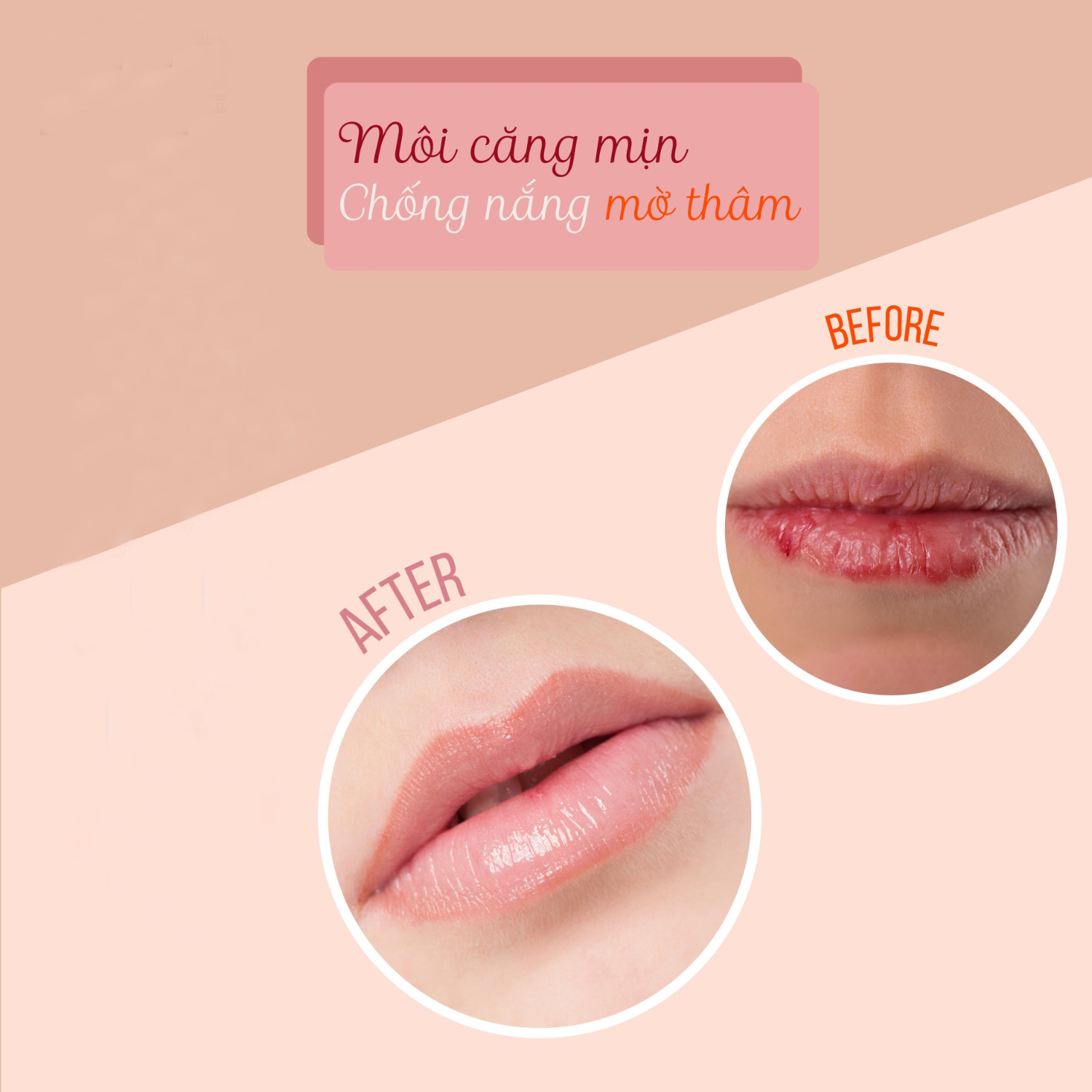 Mentholatum Melty Cream Lip Blooming Honey