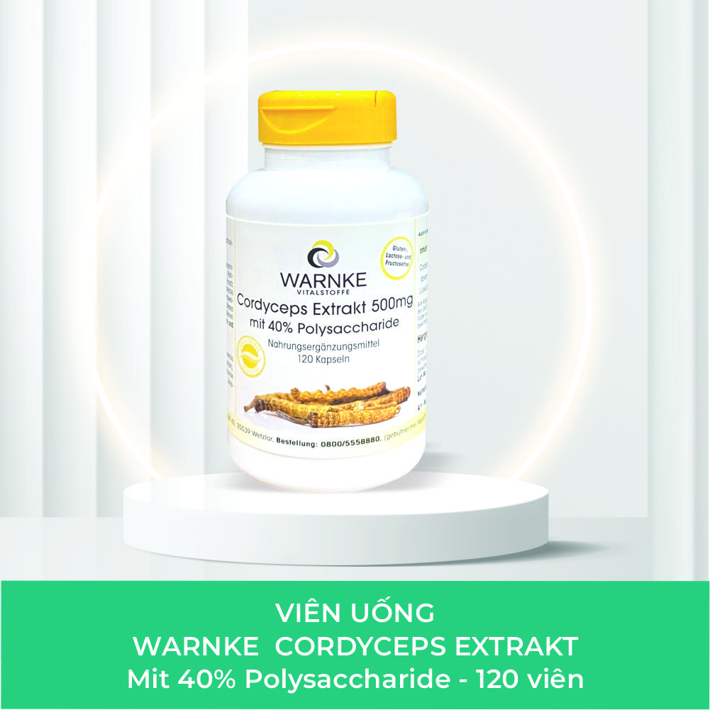 Warnke Cordyceps Extrakt